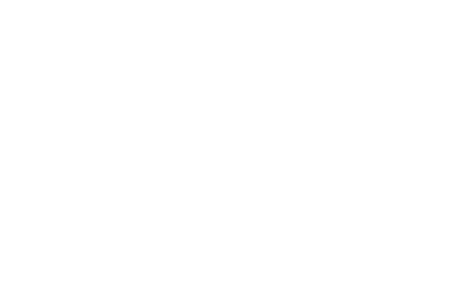 Heller_Logo